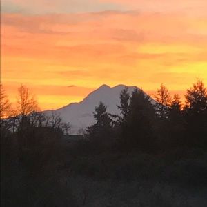 Meet your Posher, Tennessee